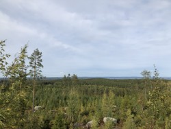 Niinimäenselänmaa