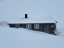 Lufsjå