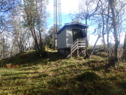 Bollhaugen