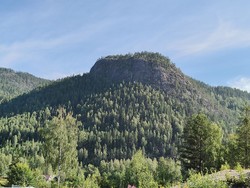 Stamskollen