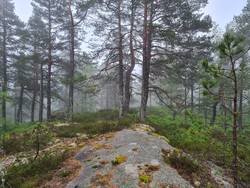 Stølsåsen