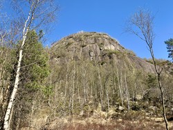 Gasaknuden