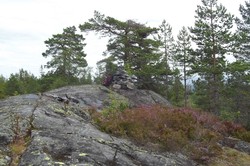 Klomshue