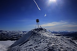 Lihauvet