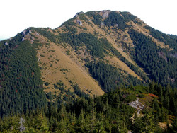 Bobrowiec
