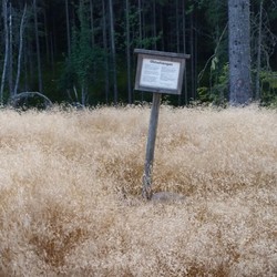 Olstadvangen