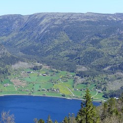 Lyseheii