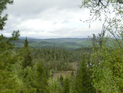 Liarognåsen