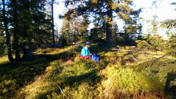 Blekketjernhøgda