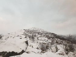 Sveinkruna