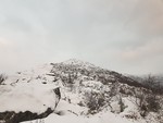 Sveinkruna