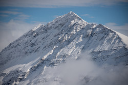 Mount Wilcox