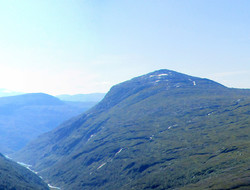 Skurvenosi