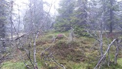 Skybergtoppen