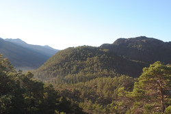 Tysseåsen