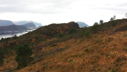 Nøringen