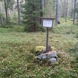 Skeisvangen
