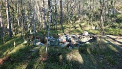 Fjellstova (ruin)