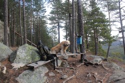 Turmålet ved Vanakleiva