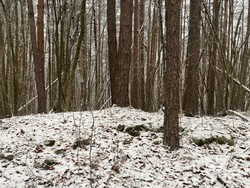 Hengsåsen