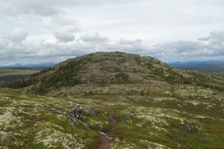 Ottlaugkampen