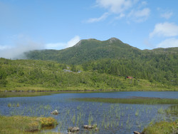 Måsvassheia
