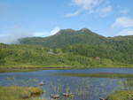 Måsvassheia
