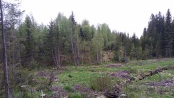 Sør for Erikringen