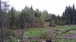 Sør for Erikringen