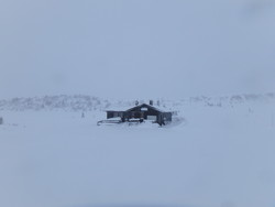 Fiskeløysinga