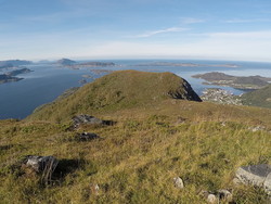 Uggedalshornet