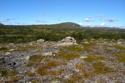 Remslihøgda