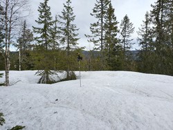 Finnehøgda