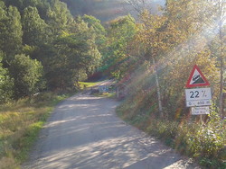 Herdalsvegen