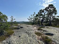 Bærøykjerringa