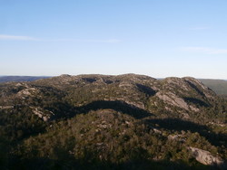 Loneheia