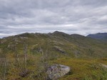 Nordfjellkjølen
