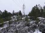 Kollerøysåsen