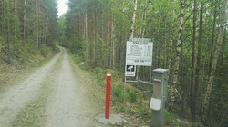 Holseterveien