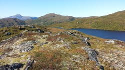 Steinhøgda