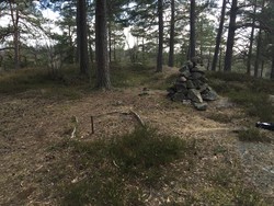 Skansen
