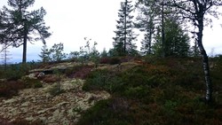 Bukkehøgda