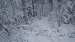 Høgåsen