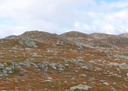 Gråfjell Sørøst