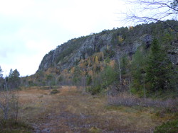 Storheia