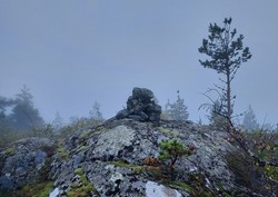 Hølbekkfjellet