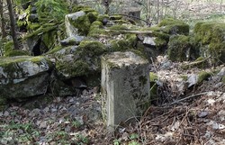 Bystein 36