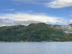 Nipa