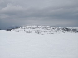 Vasslibruna