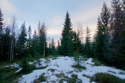 Langedalskollen